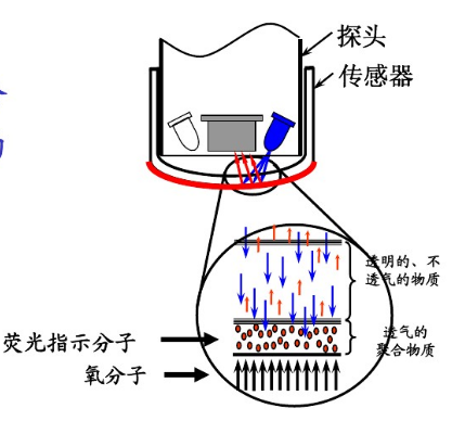 圖片23.png